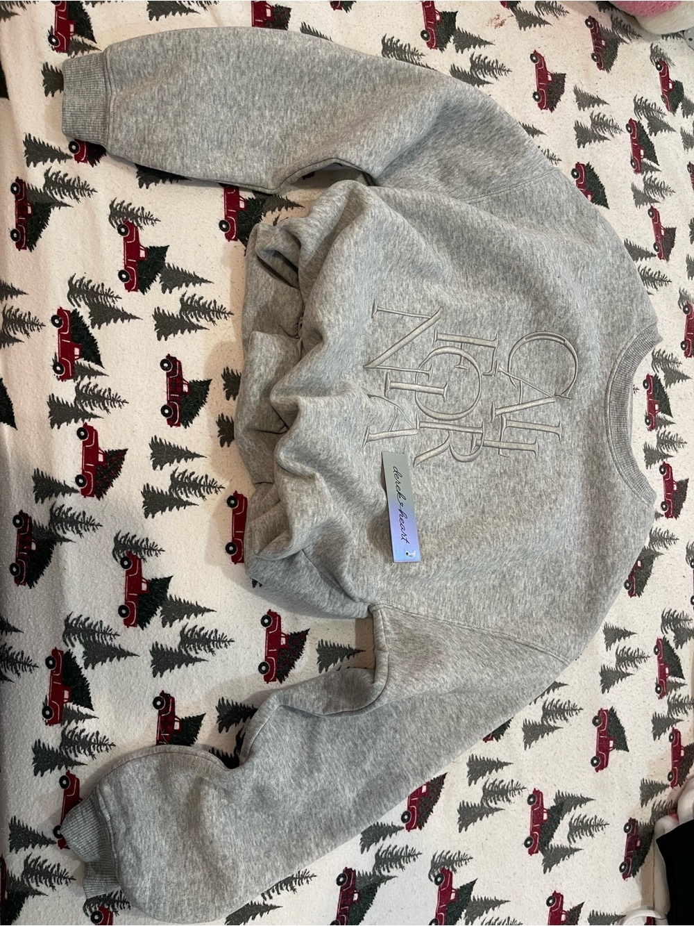Gray Crewneck Embroidered Sweatshirt - Men